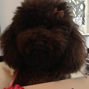 Meet your Posher, Deena